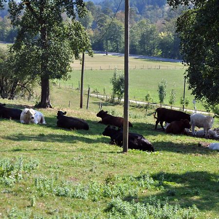 Mostheuriger Steyrdurchbruchalm Leonstein Eksteriør billede